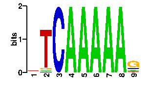 Sequence logo derived only from the contact PWM logo