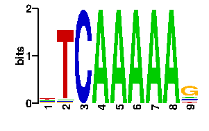 Sequence logo derived only from the contact PWM logo