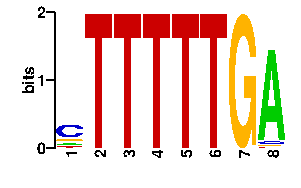 Sequence logo derived only from the contact PWM logo