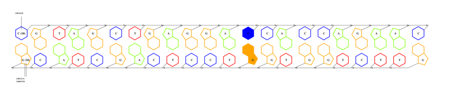 interface graph thumbnail