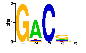Sequence logo derived only from the contact PWM logo