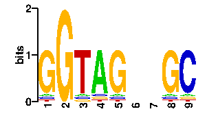 Sequence logo derived only from the contact PWM, readout PWM is considered unreliable logo