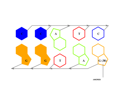 interface graph thumbnail