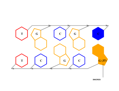 interface graph thumbnail