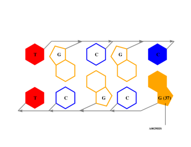 interface graph thumbnail