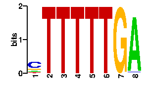 Sequence logo derived only from the contact PWM logo