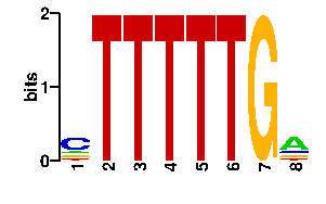 Sequence logo derived only from the contact PWM logo