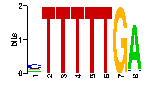 Sequence logo derived only from the contact PWM logo