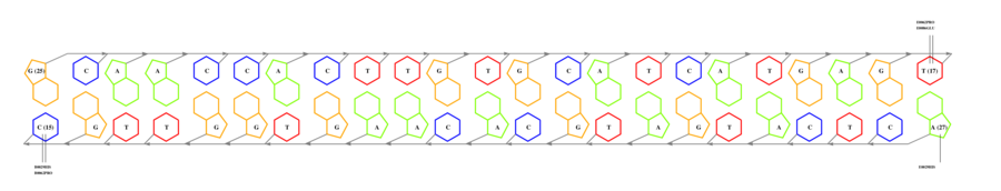 interface graph thumbnail