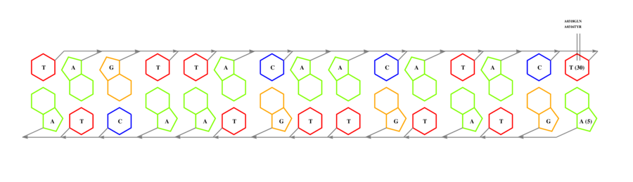 interface graph thumbnail