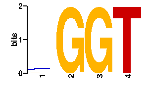 Sequence logo derived only from the contact PWM logo