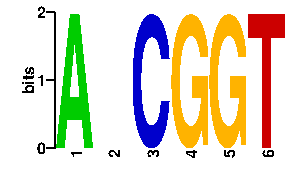 Sequence logo derived only from the contact PWM logo