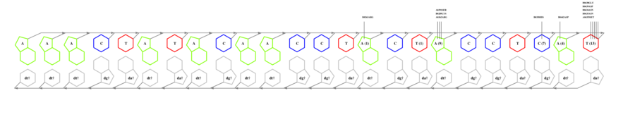 interface graph thumbnail