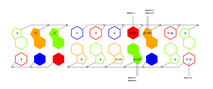 interface graph thumbnail