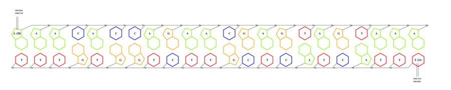 interface graph thumbnail