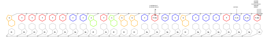 interface graph thumbnail