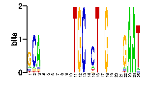 Sequence logo derived only from the contact PWM logo