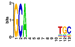 Sequence logo derived only from the contact PWM logo