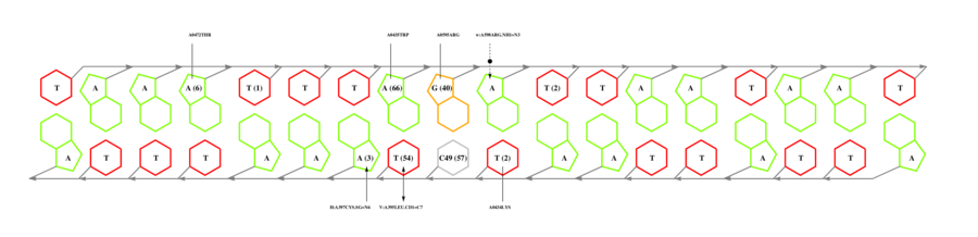 interface graph thumbnail