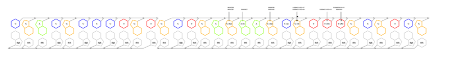 interface graph thumbnail