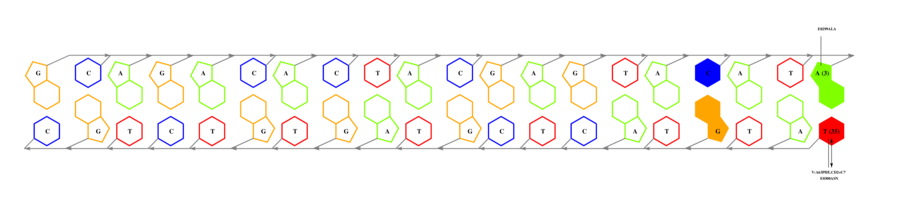 interface graph thumbnail