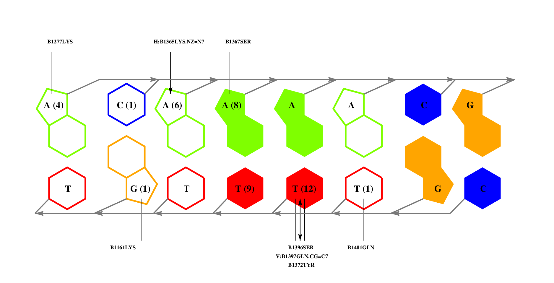 Multimeric Complexes 8wmm_B : 3D-footprint complex