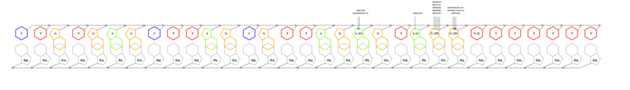 interface graph thumbnail
