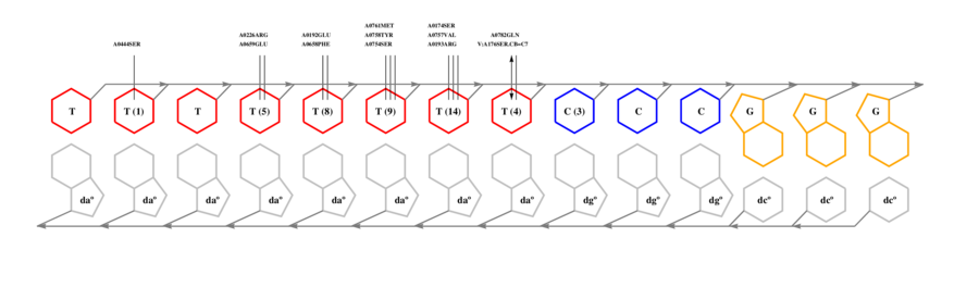 interface graph thumbnail